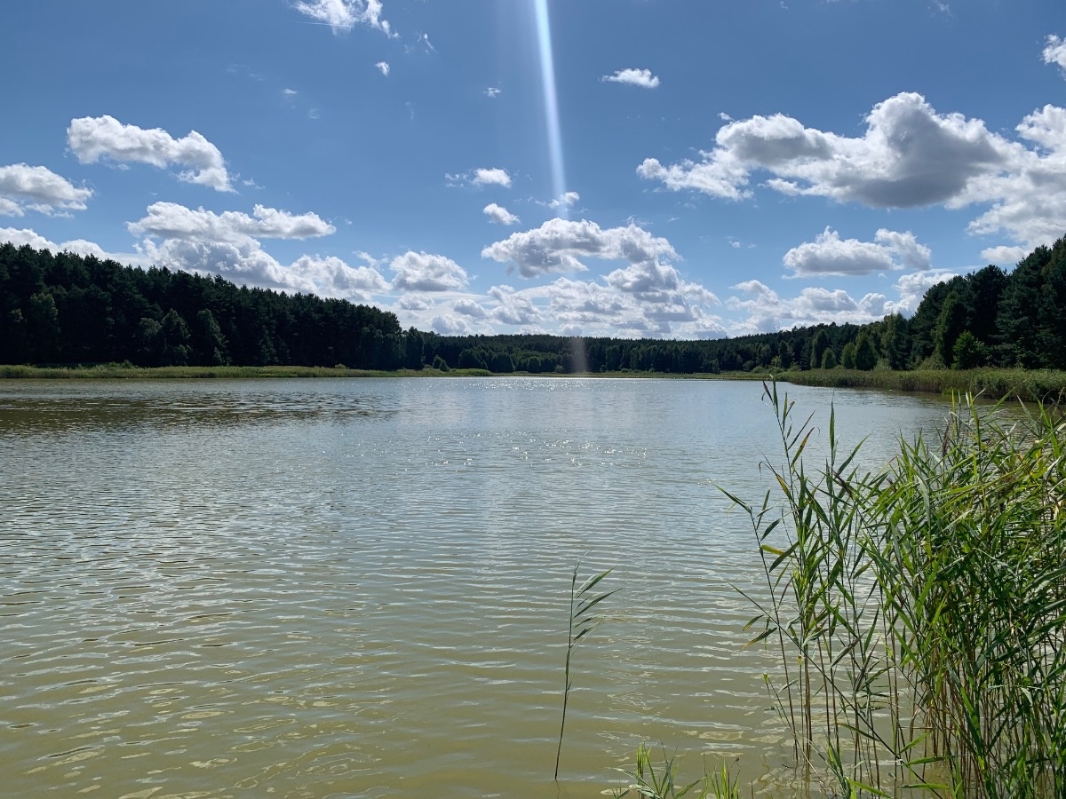 a38d3831-e90e-49bd-a637-061e91a7870f