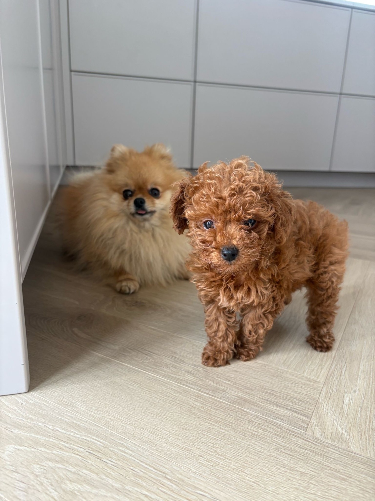 27d0a184-9e1d-4210-8236-ae7d52f1f5ae