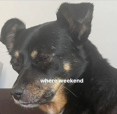 6054bbaa-18f5-4df0-b711-2dd0b49e9339