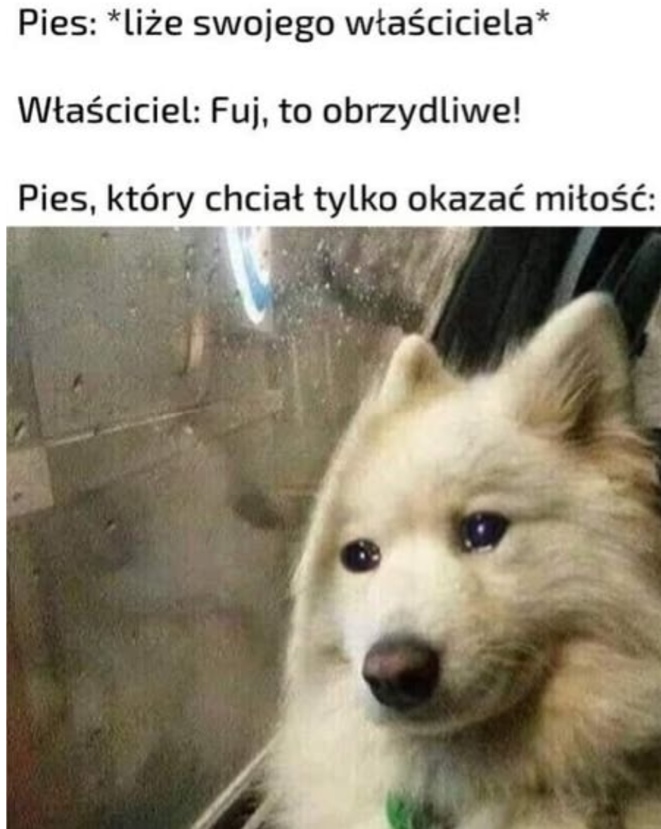 af0806e2-af7a-42be-bde4-c919aeb32c6d