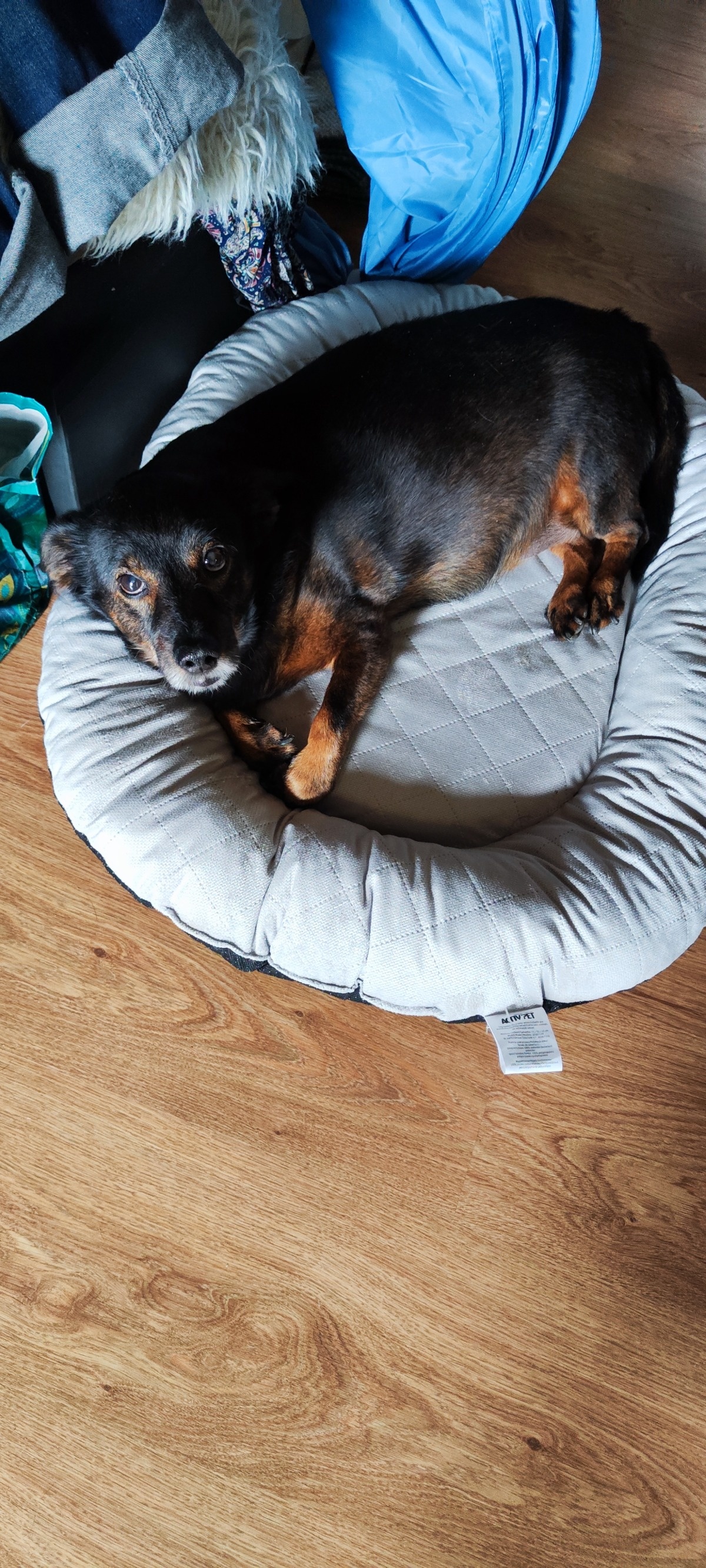 59765465-16f2-48c6-a686-e65aff14b688