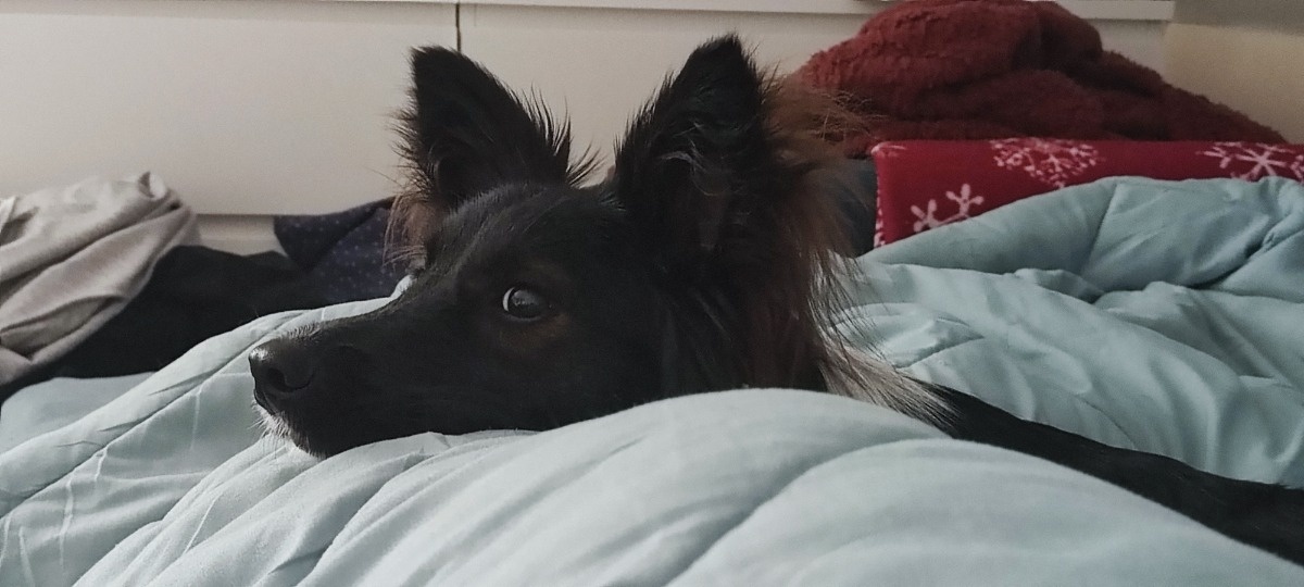 53eca53e-7f73-4812-a06b-1e499d1218f4