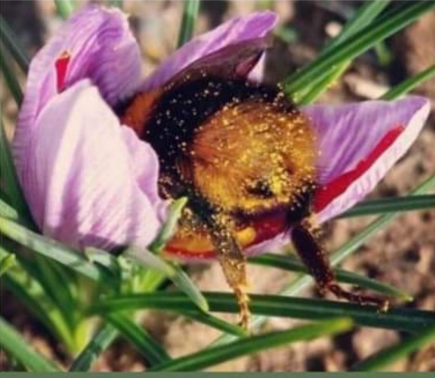 5de6571f-93c4-427c-991a-11e2f5e15509