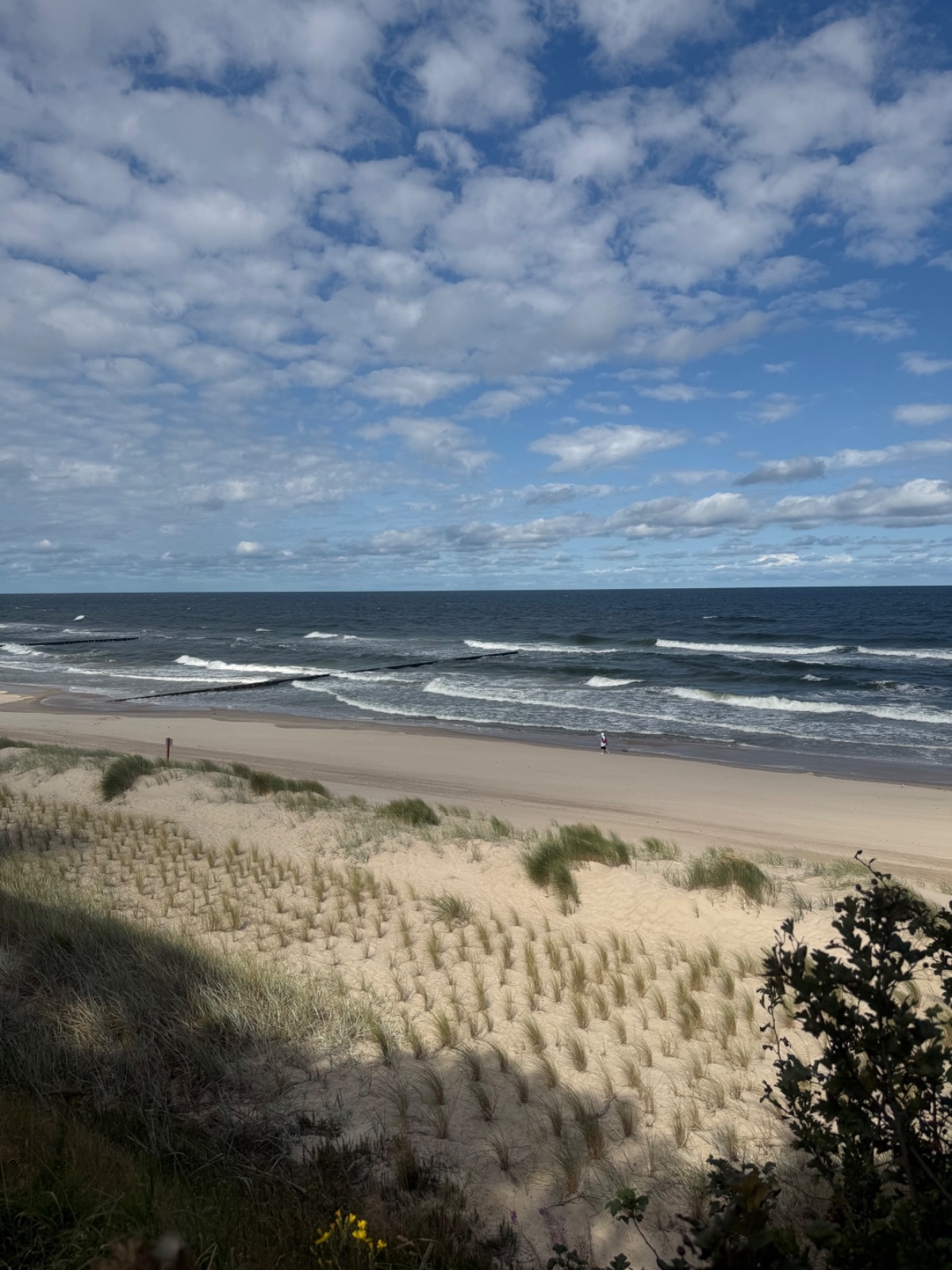 5d6a941e-8d36-4e59-b308-fc00ec216771