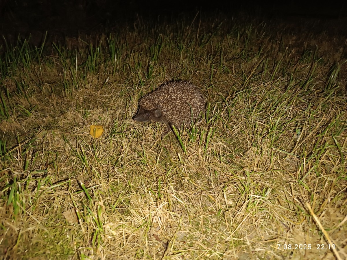 873e8b15-3edd-4d4e-88fc-f4c2b7855590