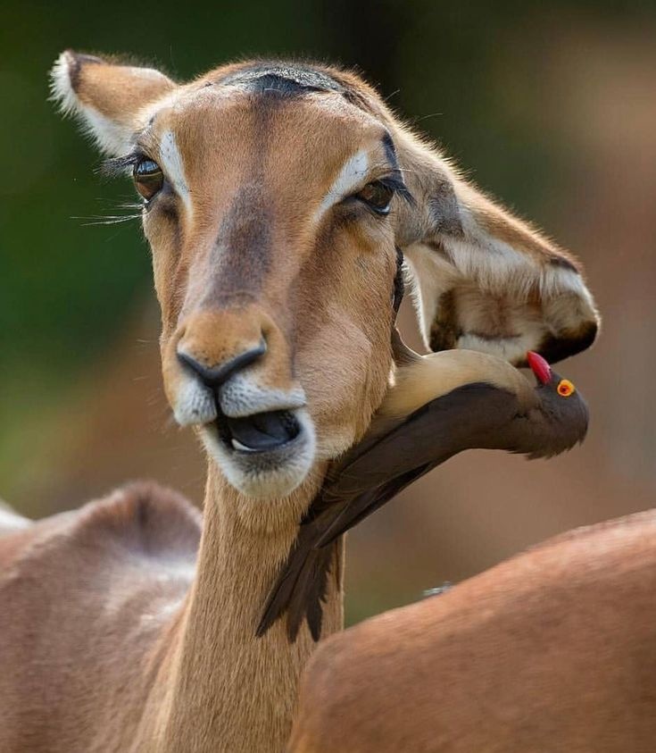 1f15eb14-120b-408b-aa17-32ec91a39d7d