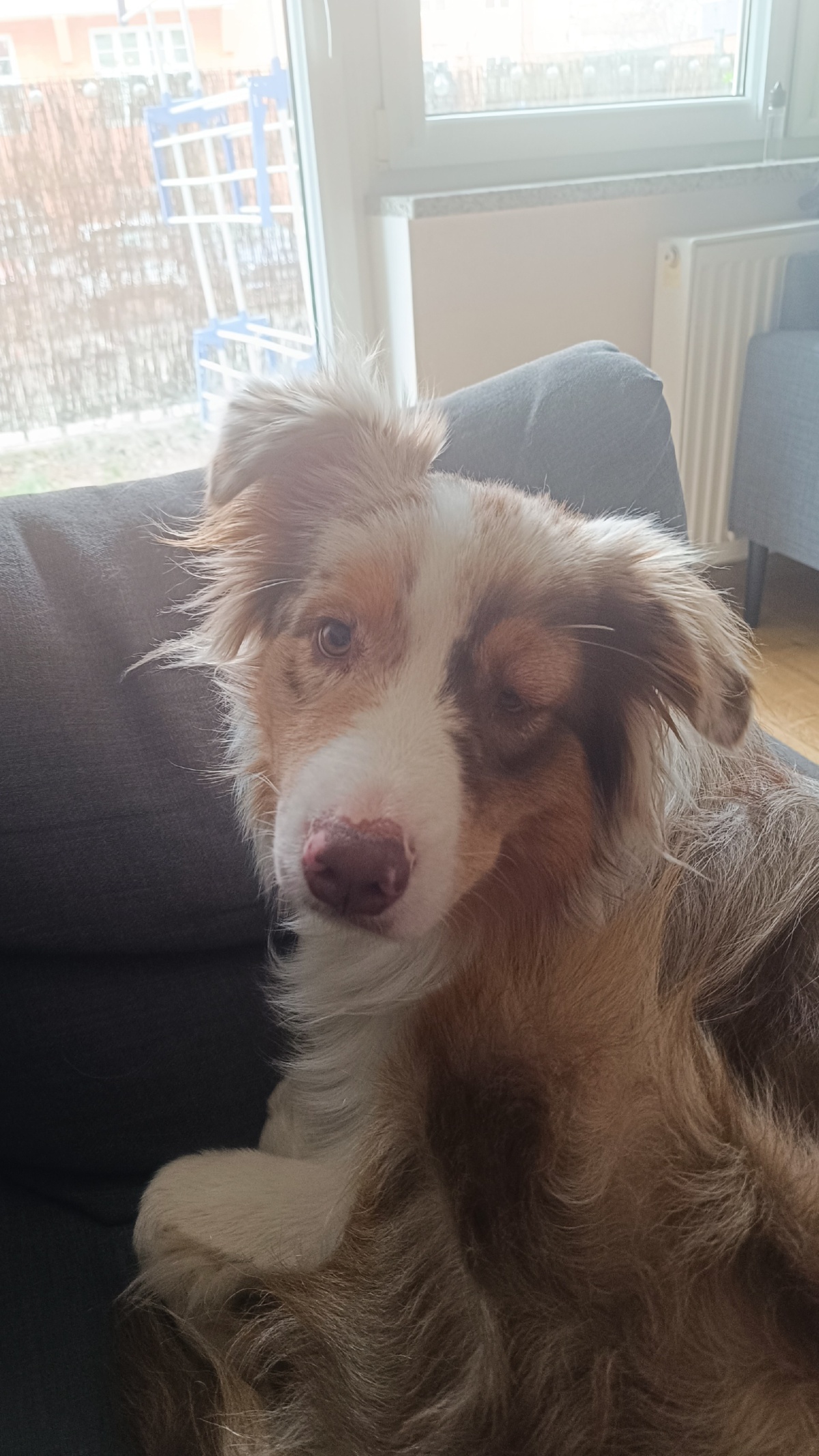 a9863479-15a3-460b-b12c-251f5af94dc0