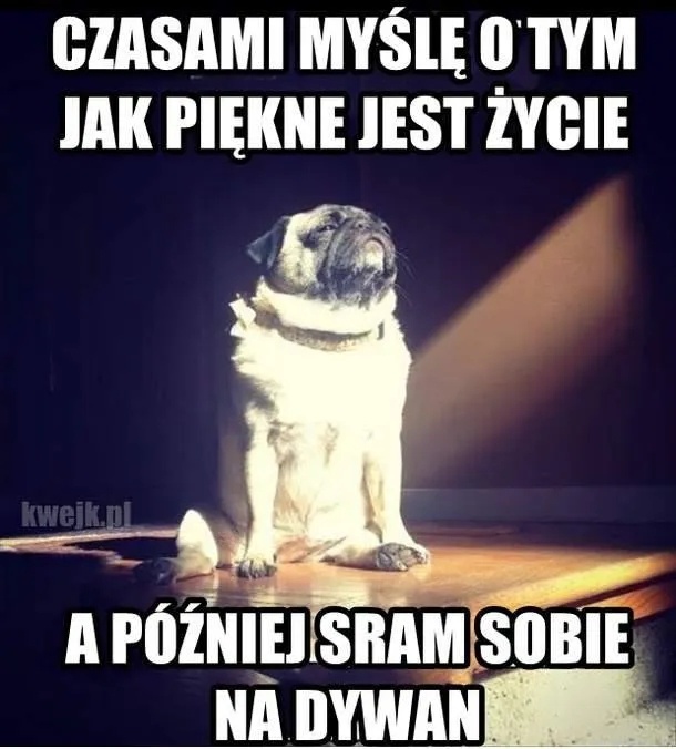 39c0c456-fe4b-4da2-a652-f27b78c5eed6