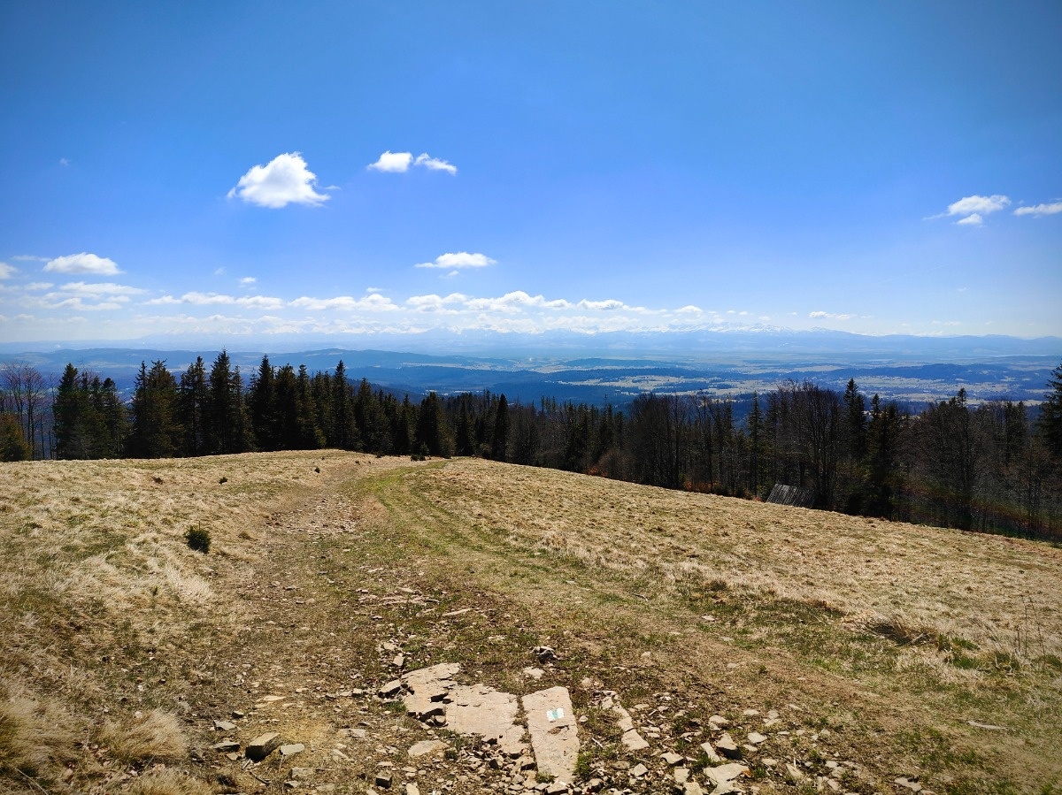 fc0d683a-8674-4c8c-9db2-4bdfdb0d792f