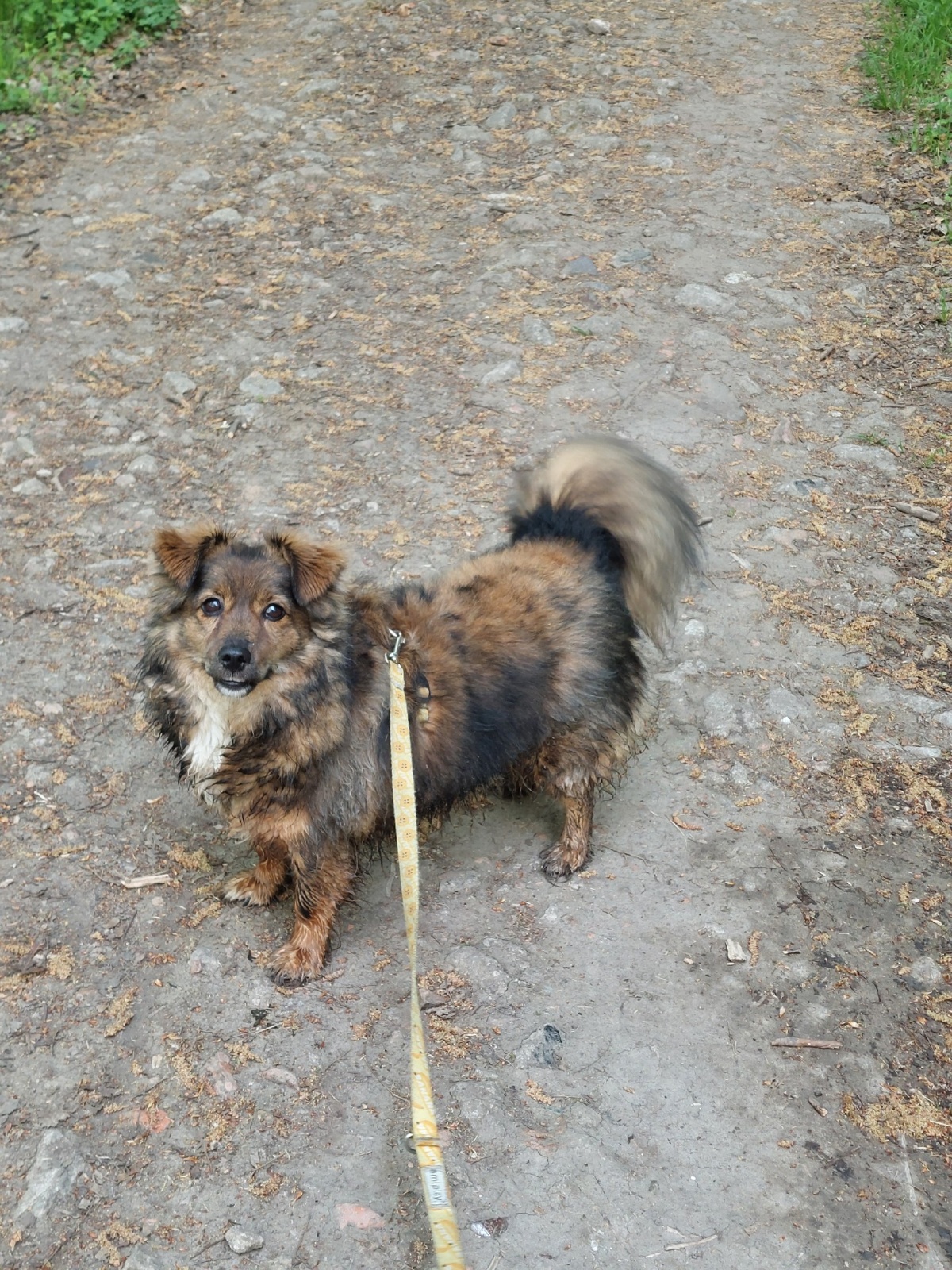 a3307fd2-e572-45a1-81d4-0cbec9310012