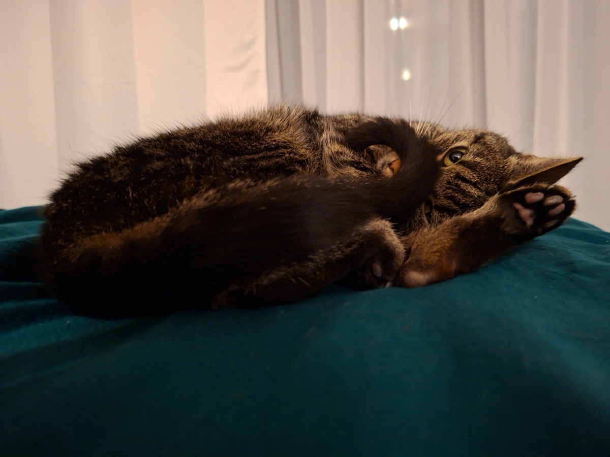 98458fb7-f275-4bc6-8e85-c5b7aabf566a