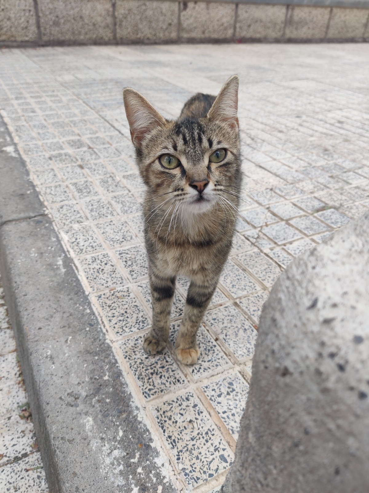 b67a70d8-4195-45d1-b997-67abc2b368ef