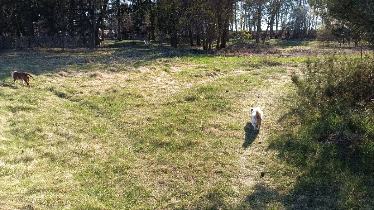 853457a4-24e5-4399-be35-ef34cb651535