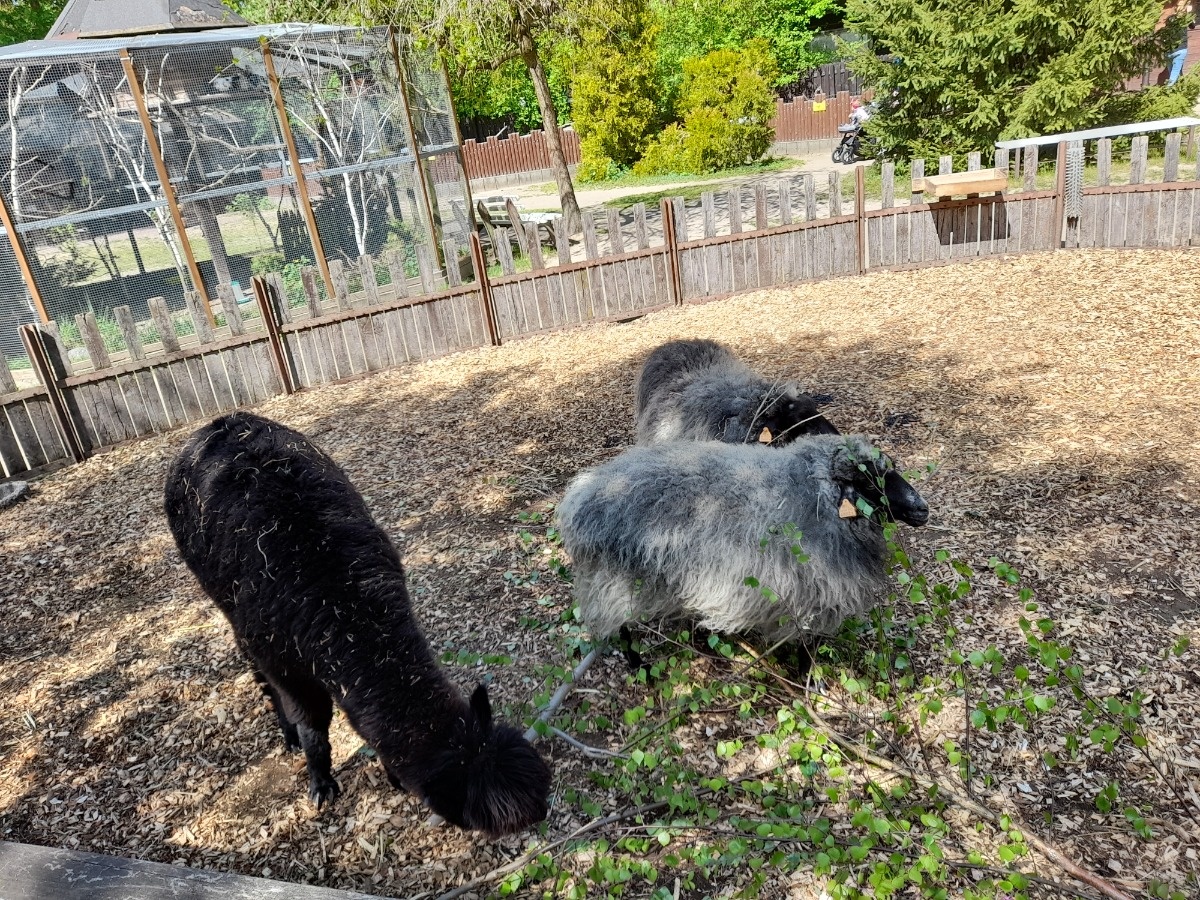 c8acdb93-970f-4012-bfee-423dadc8642f