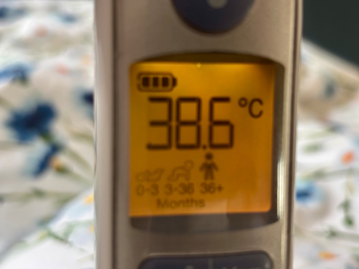 73434ce8-efc6-4ffc-8e2f-70e47dd77ee6