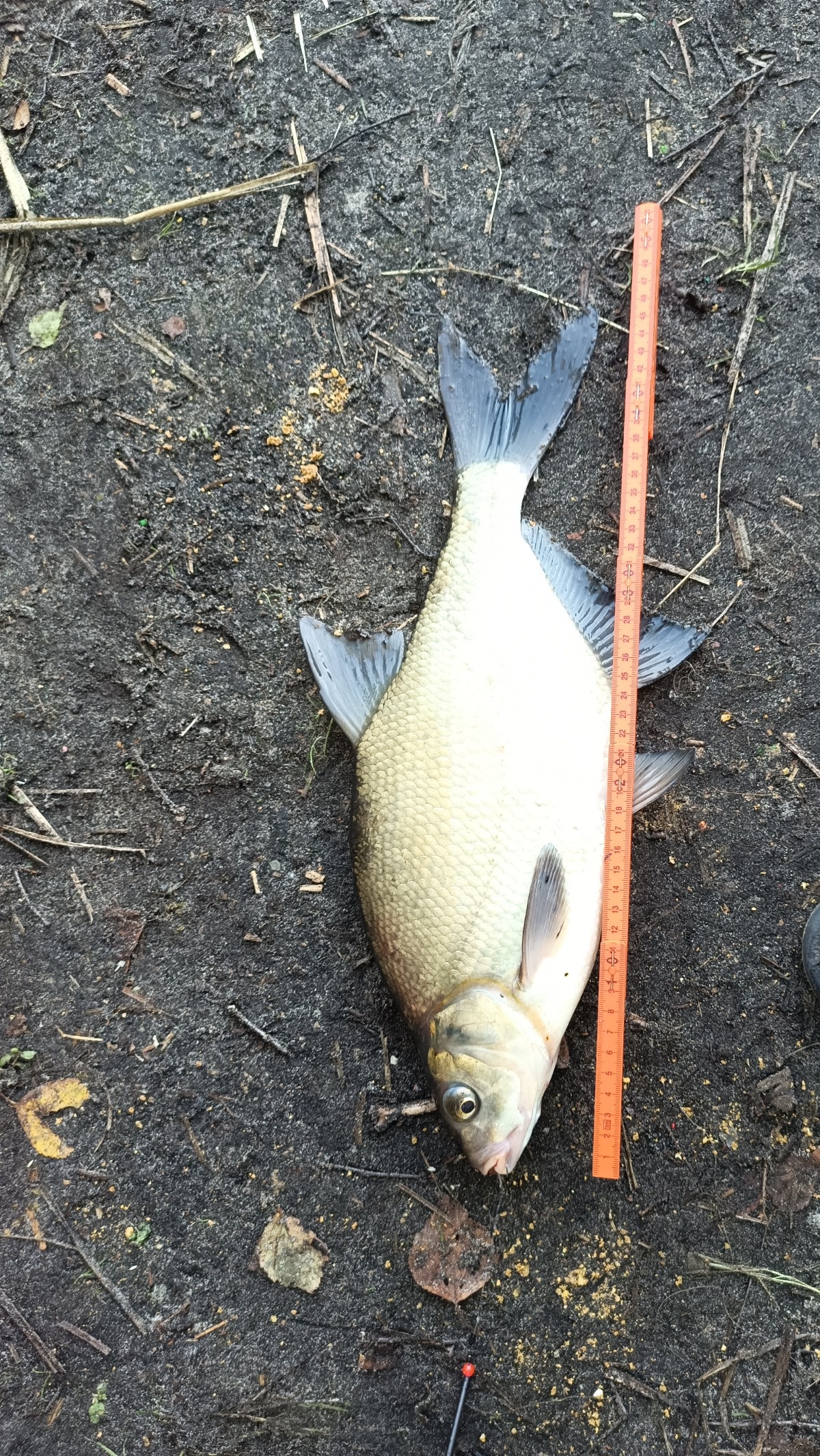 cc7fc9b9-6183-49e6-b315-14c6dde1177b