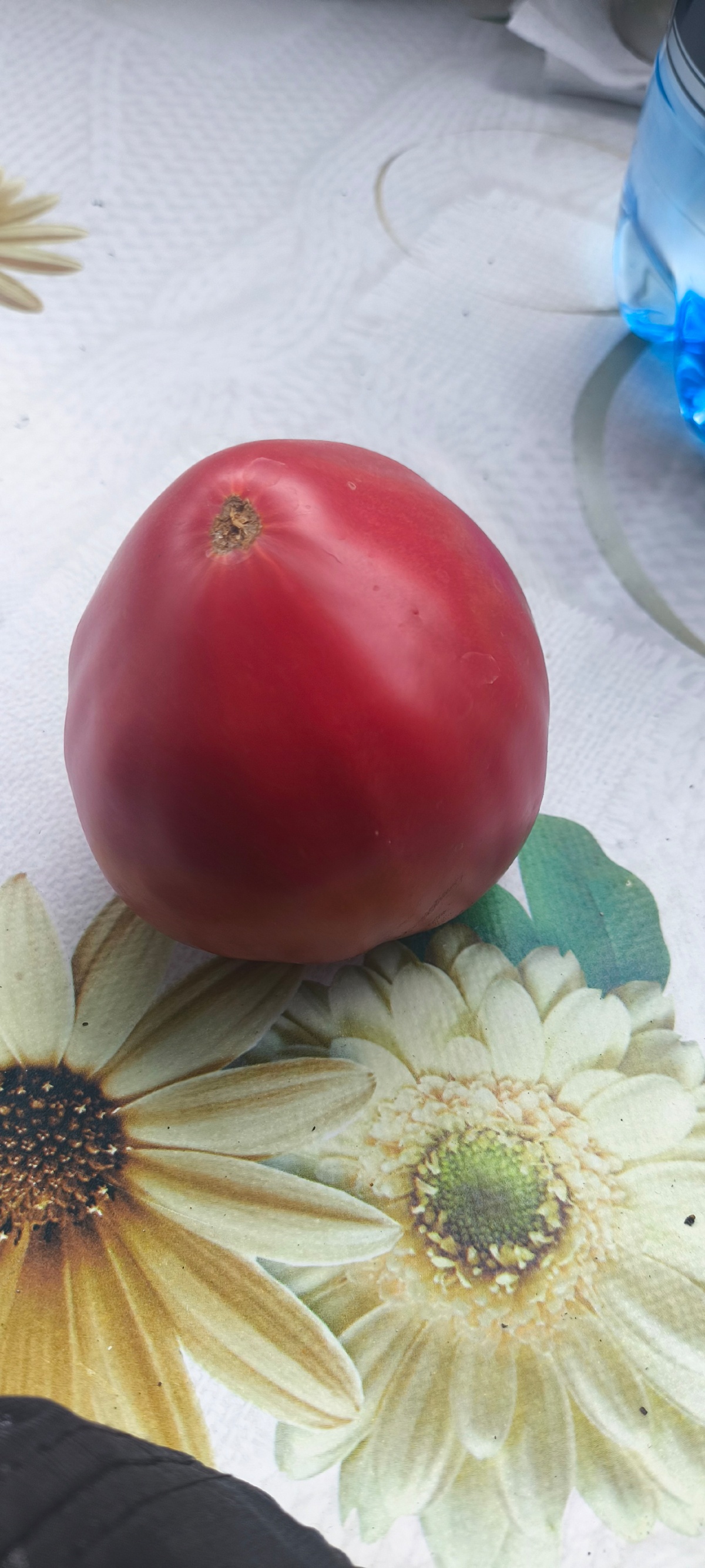 19f4d2ef-2413-447d-a770-0ae11e82b0dc