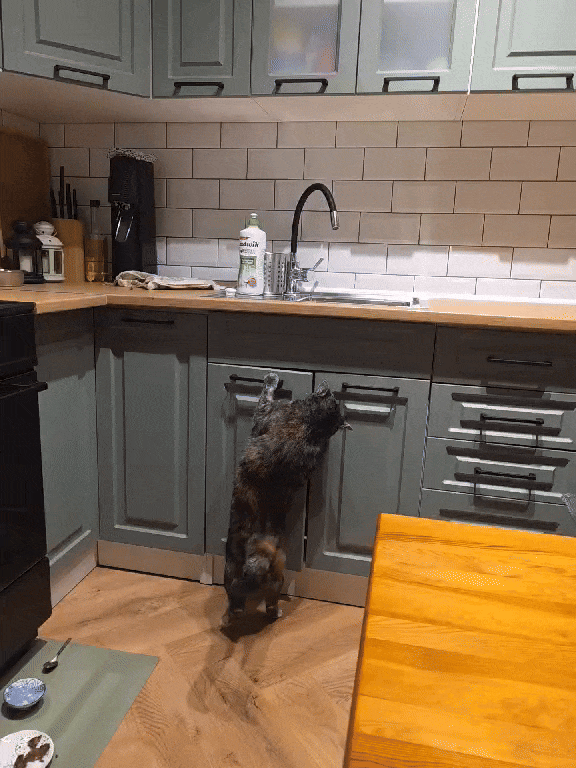 f226d6fb-b286-4611-ad62-28737a253019