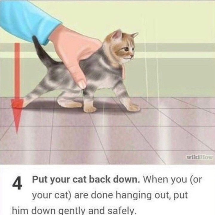 59d0d6c2-819c-405d-95bf-7b0a11e02a7a