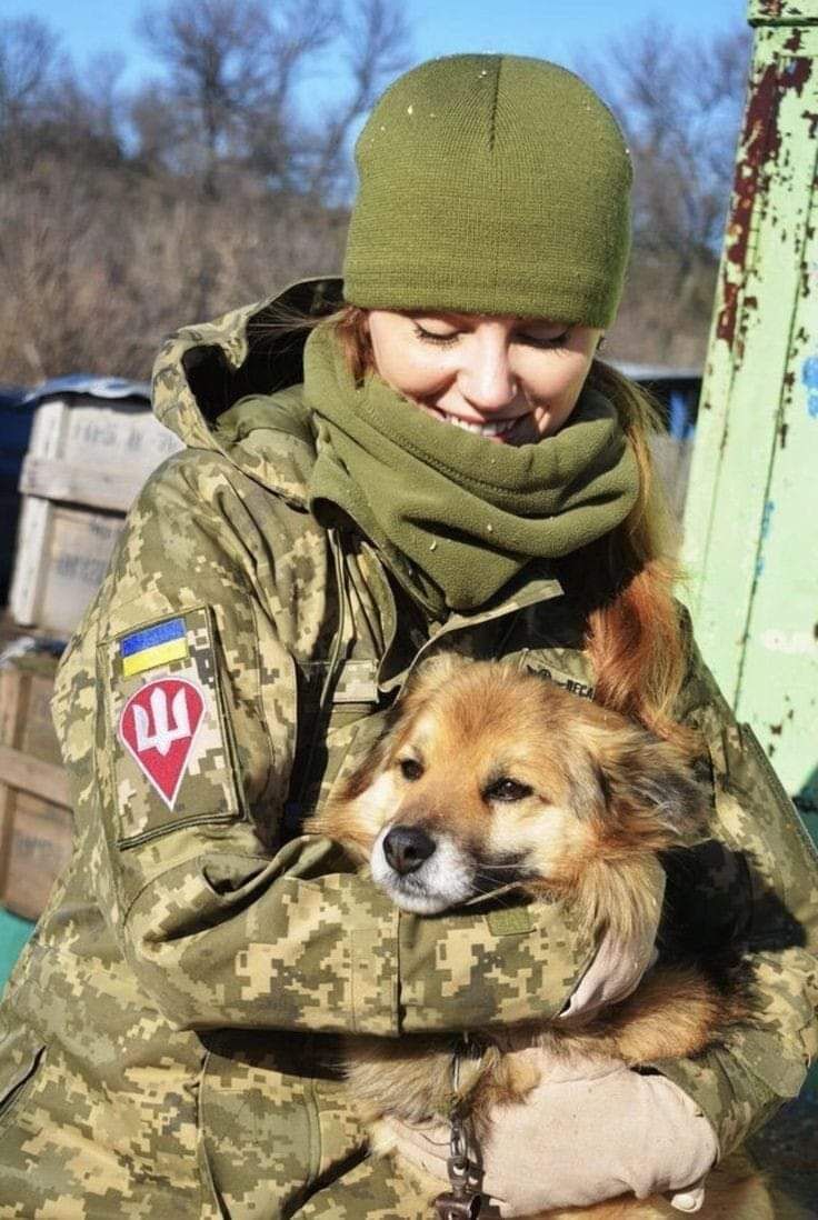 e93b5e02-d52f-4021-bb33-8bb0e309abf0