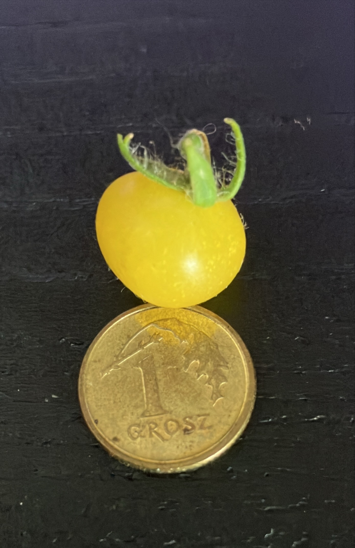 747e7a36-bec5-4ca3-8327-80fe5929a6ab