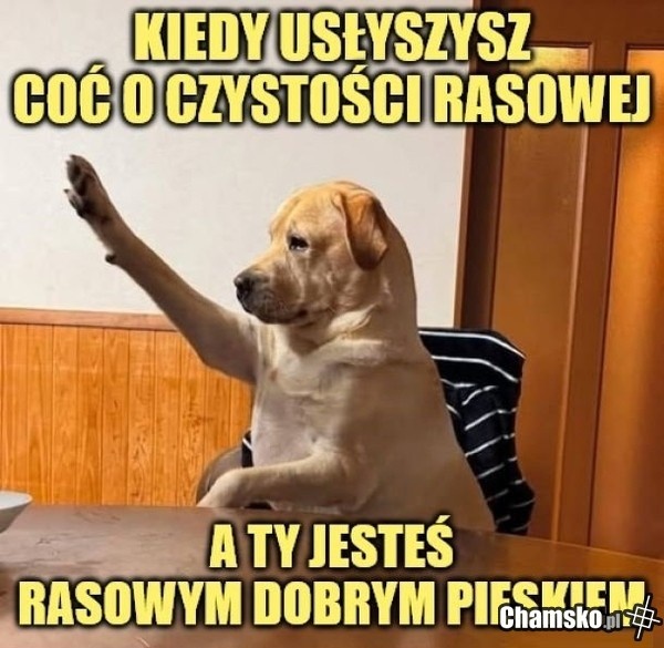 d1a9dce7-b658-4a5e-b787-d857d4e0327d