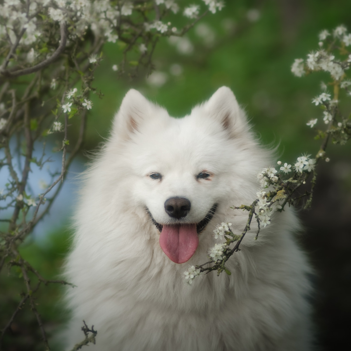 dca520db-a32c-4b32-9ed6-e72a9729b885