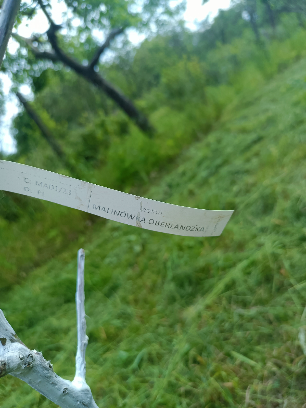 d1255d47-c862-4890-8203-040c96e488f4