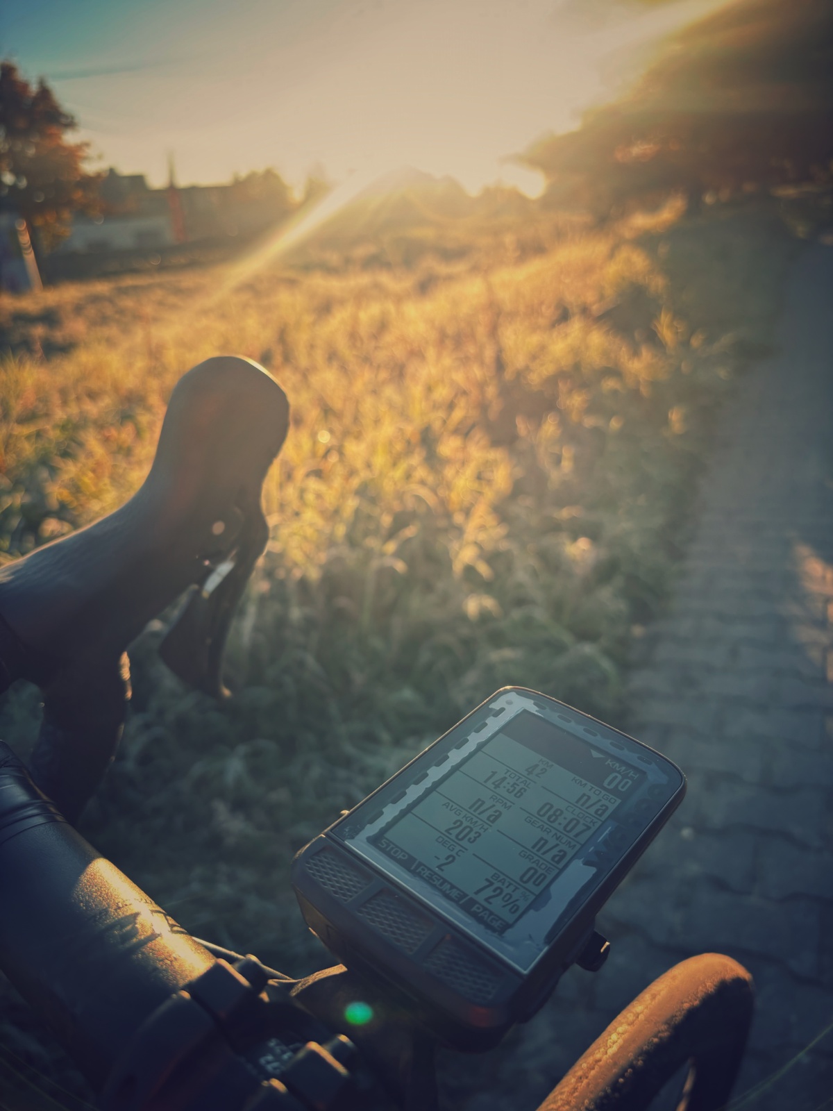 b95ca0c8-2ce4-44b2-89dd-88a1bc1cff9d