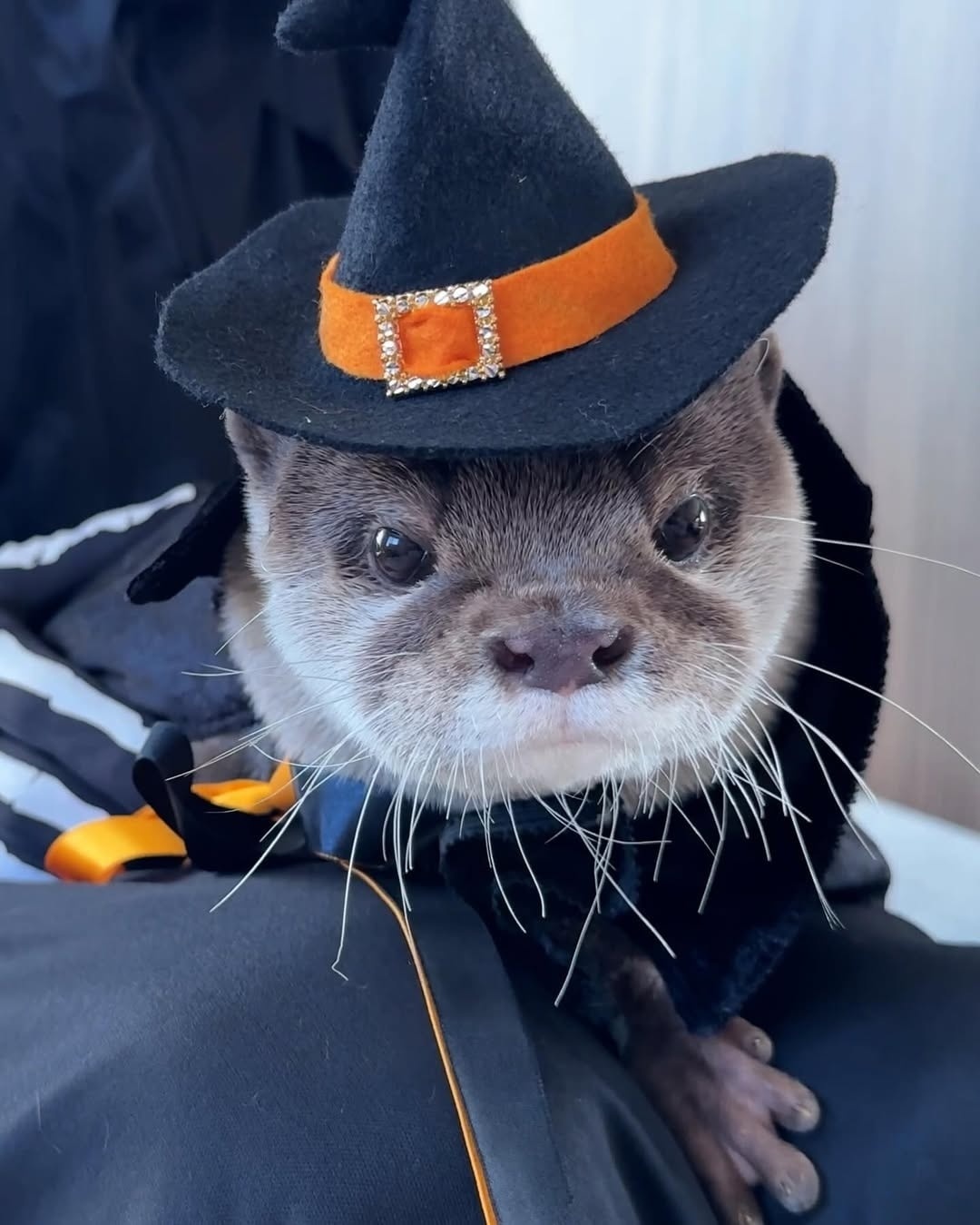 f1c8d942-fbe1-4798-9a44-0c38117d7a54