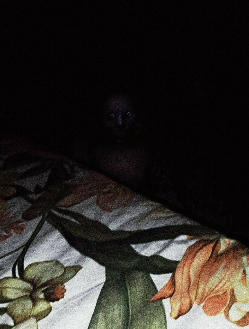 e10c4322-731d-4c40-ba2a-ed7aae372556