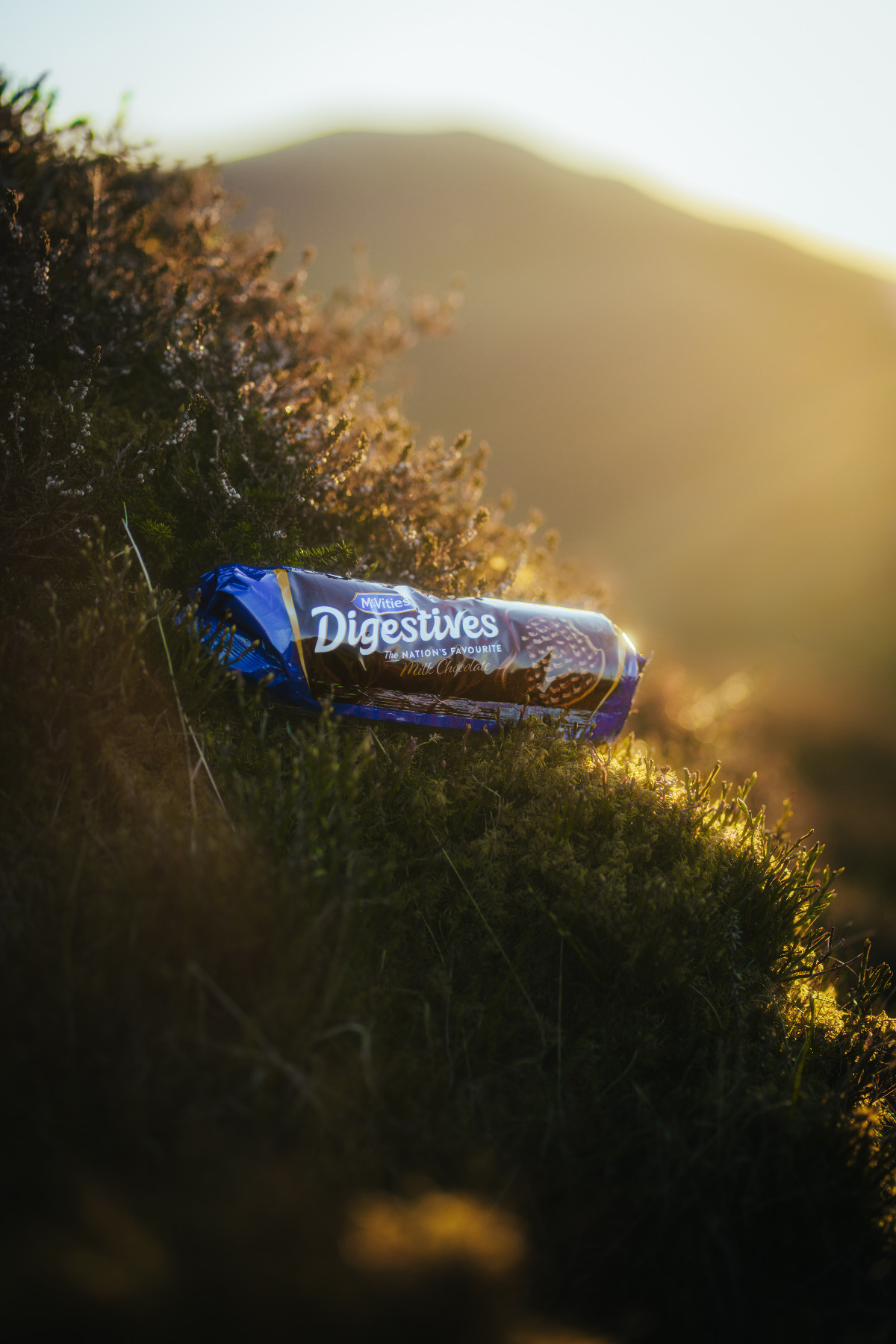 bbcb5c15-1f47-4e36-b89b-2fd67600b47d