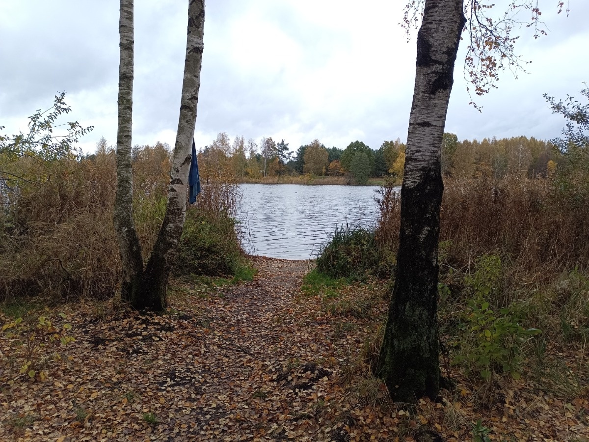 9f547002-63c3-4341-876d-a30c51521aea