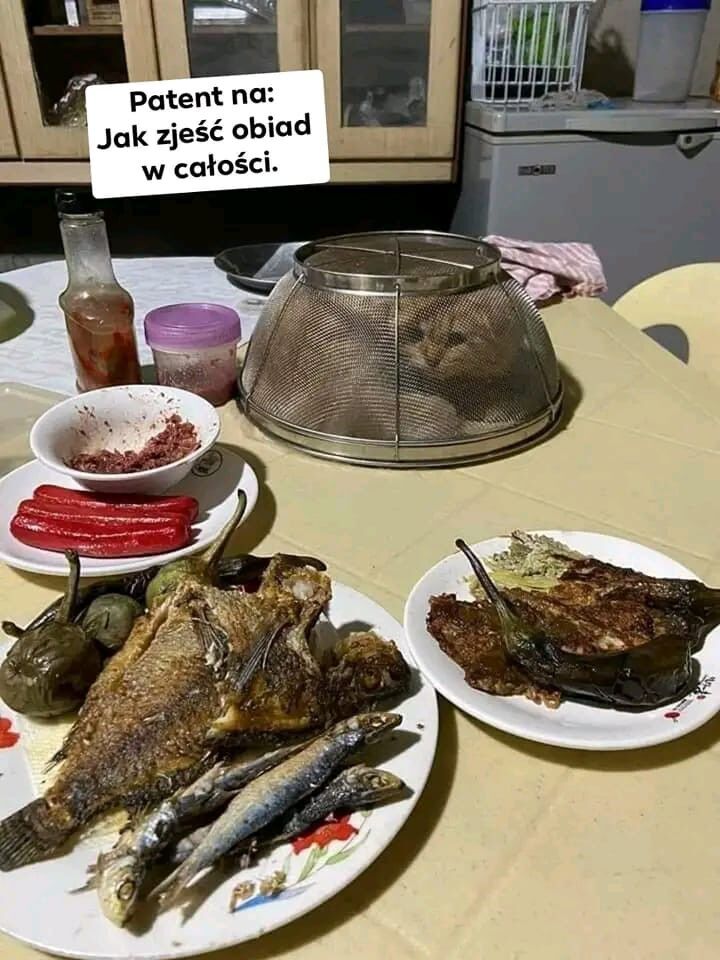 b13a3056-ff16-4819-ad99-6b03b057954b