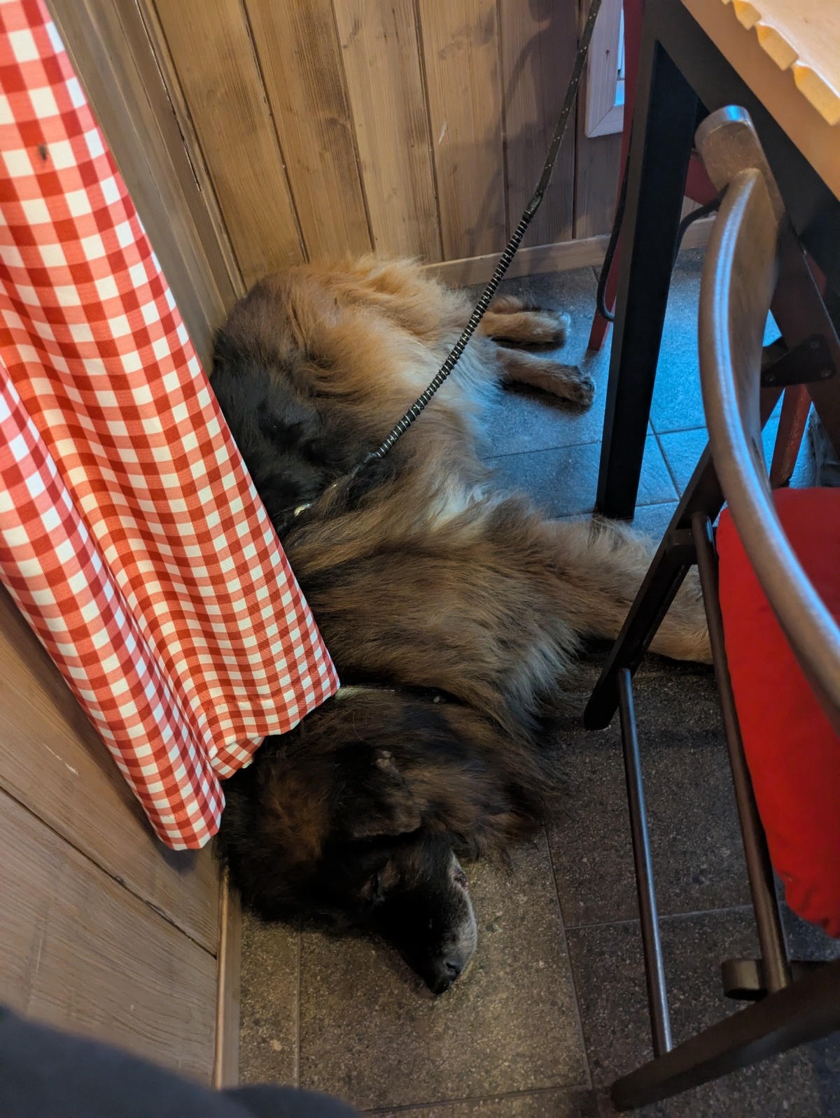 174311a4-3305-4763-8eb0-ec711cf4cb9b