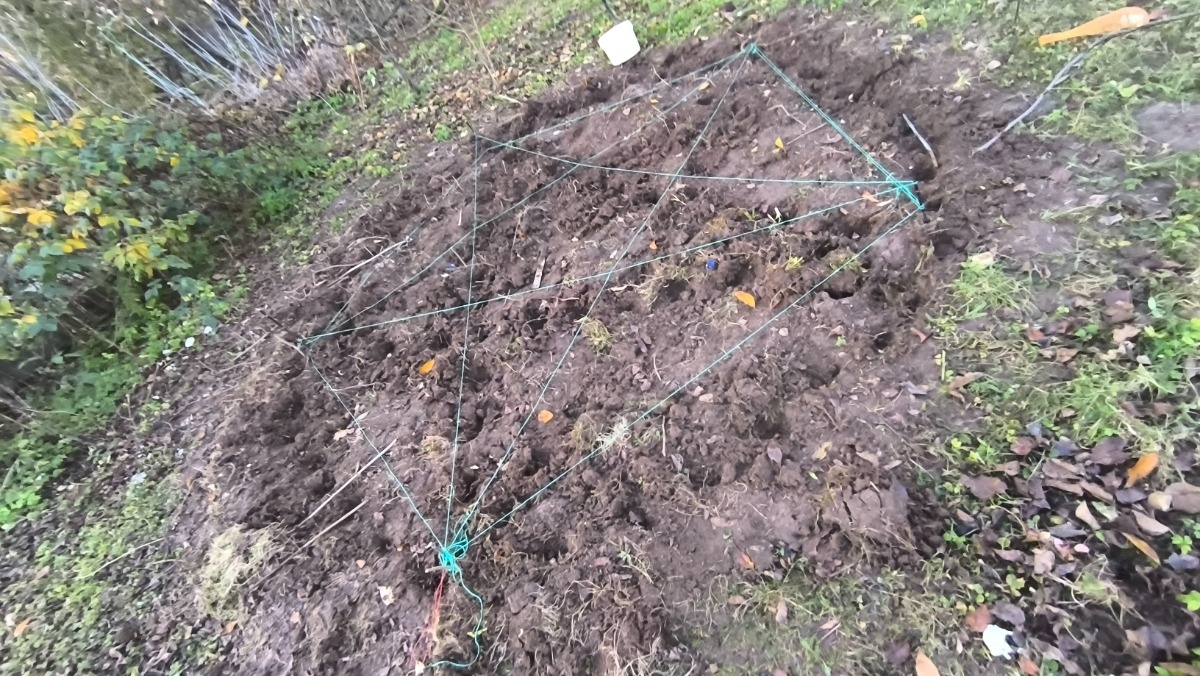 dbbe5ad1-e54c-4a7a-9324-d64665bc0952