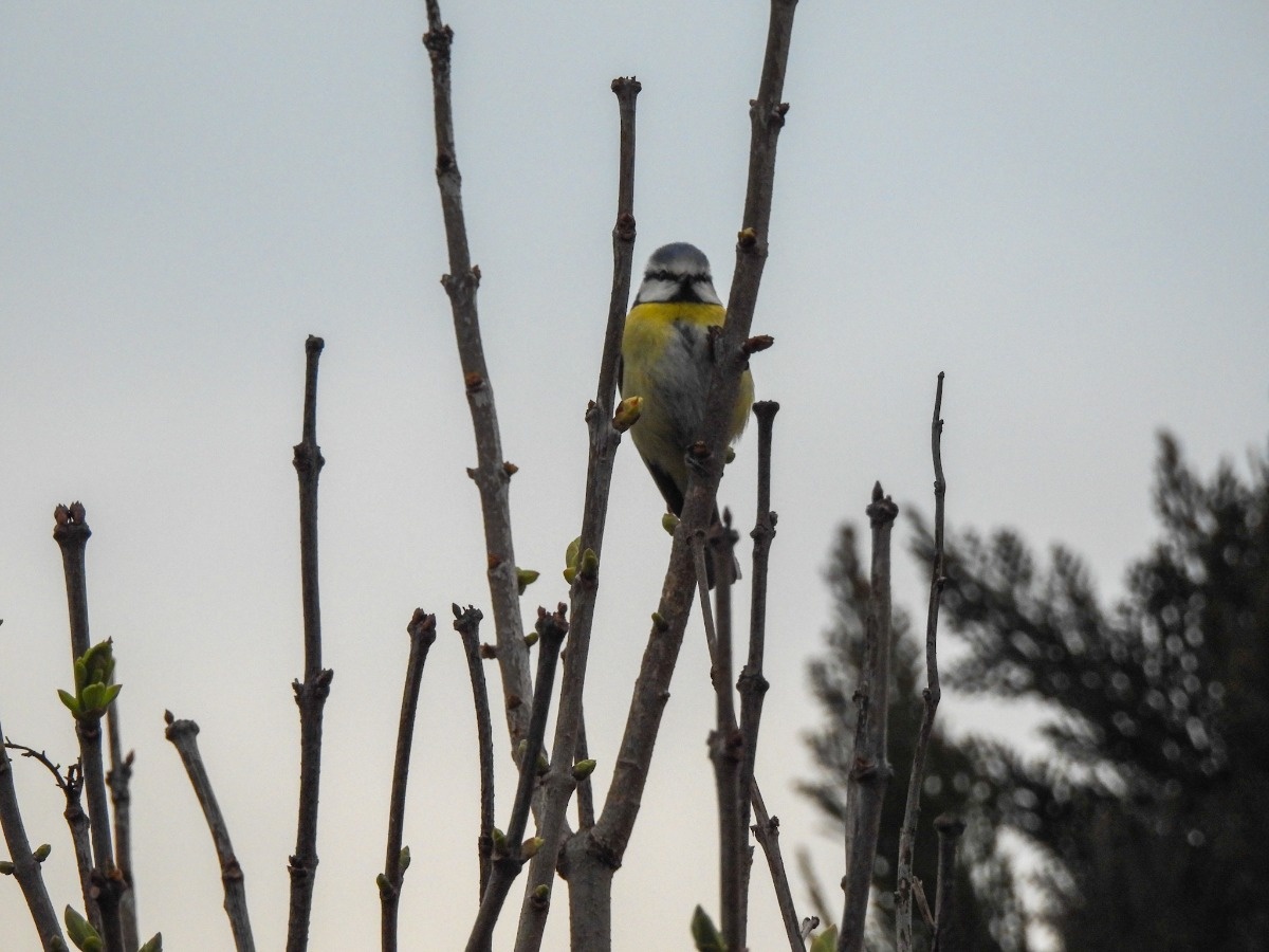 cb8a55c4-5bcd-4253-9e7a-7709894b3b75