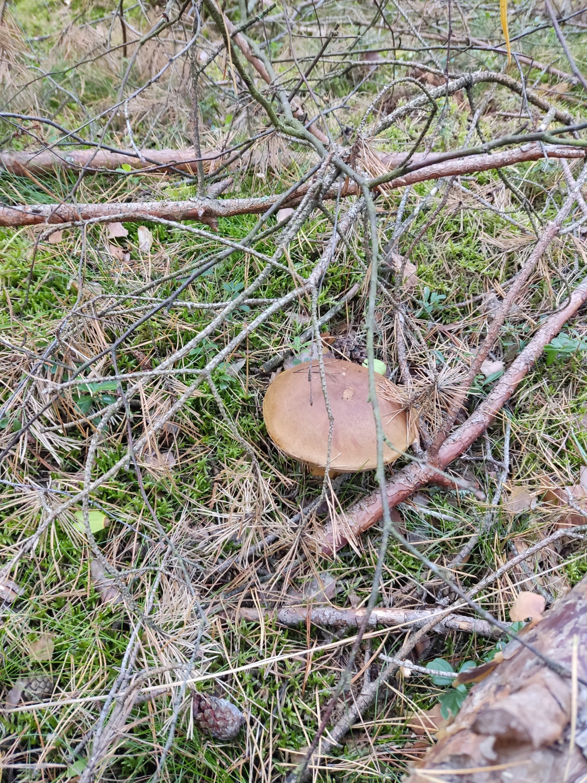 d259b8fa-d71e-4e88-a917-49452fcc0d6f