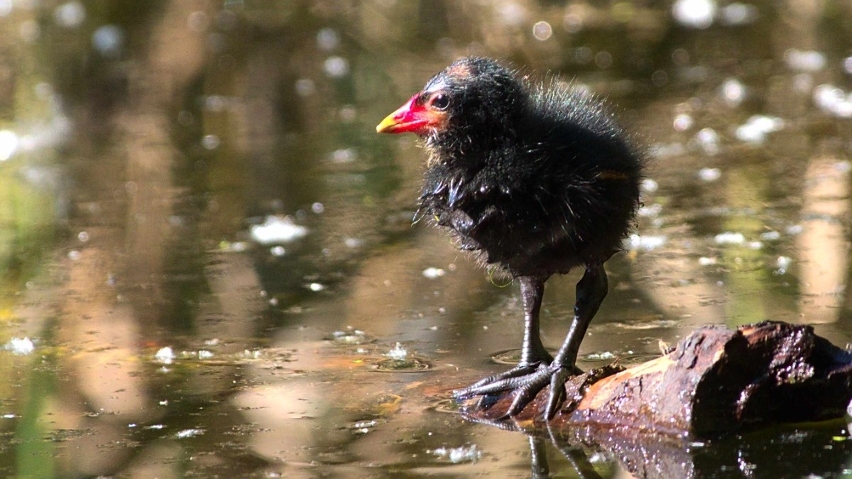 6473e024-8a79-4488-9417-cc9f49fb1002