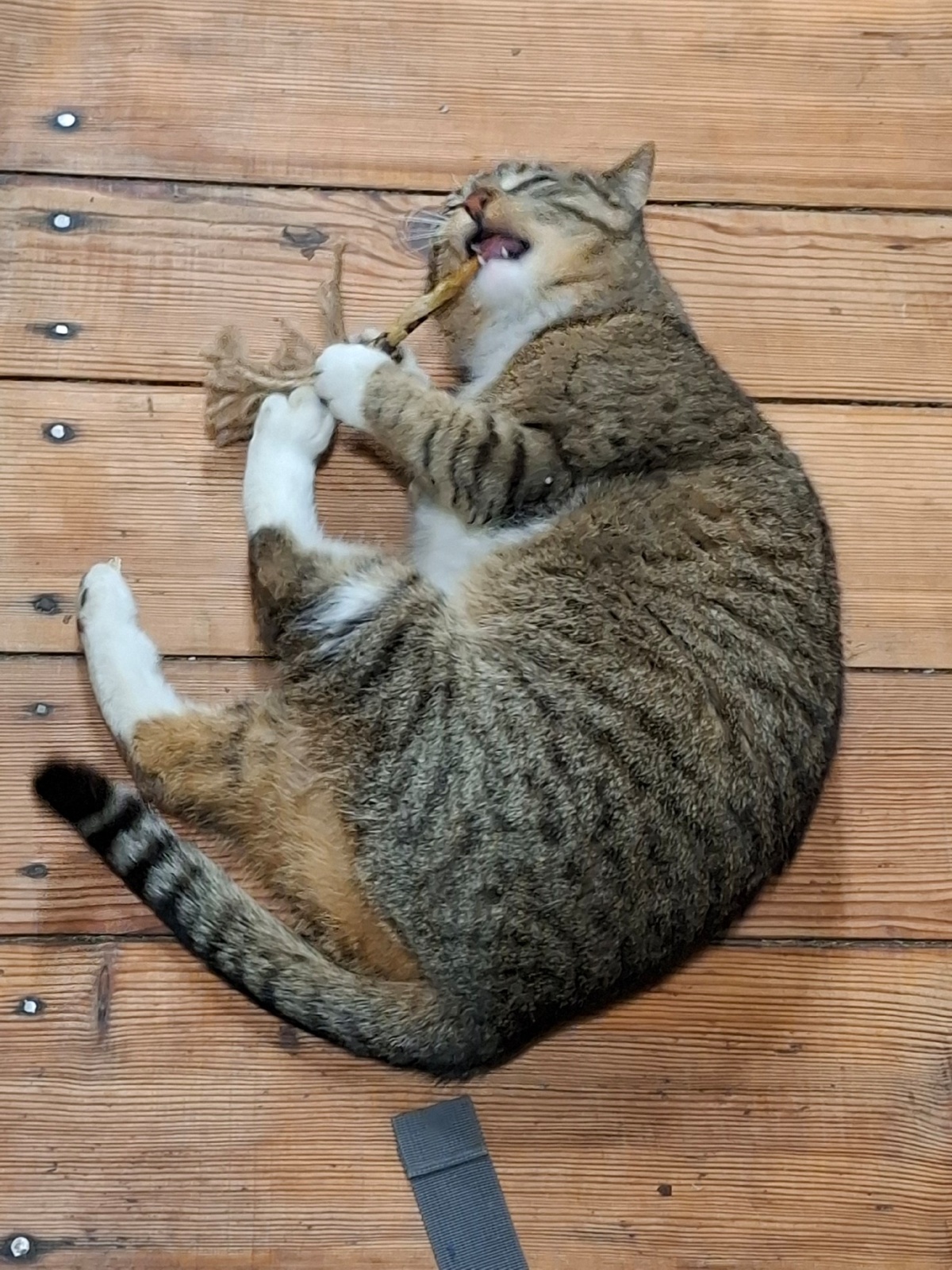 fc9af814-4a11-4bdc-b873-f882faa489d0