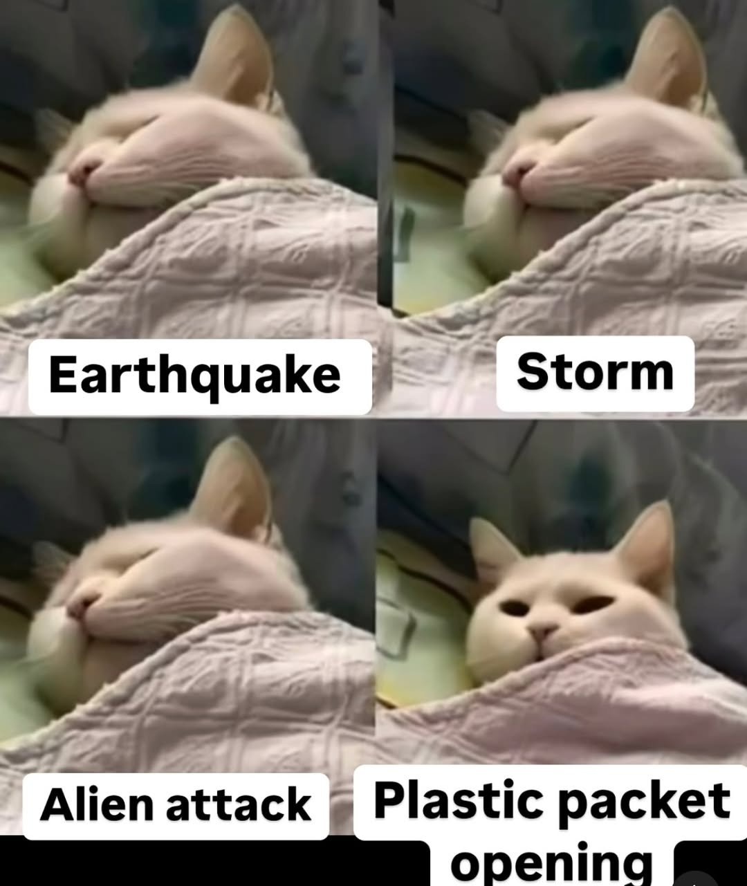 7da7b147-4c39-4475-acc8-b052e1f85439