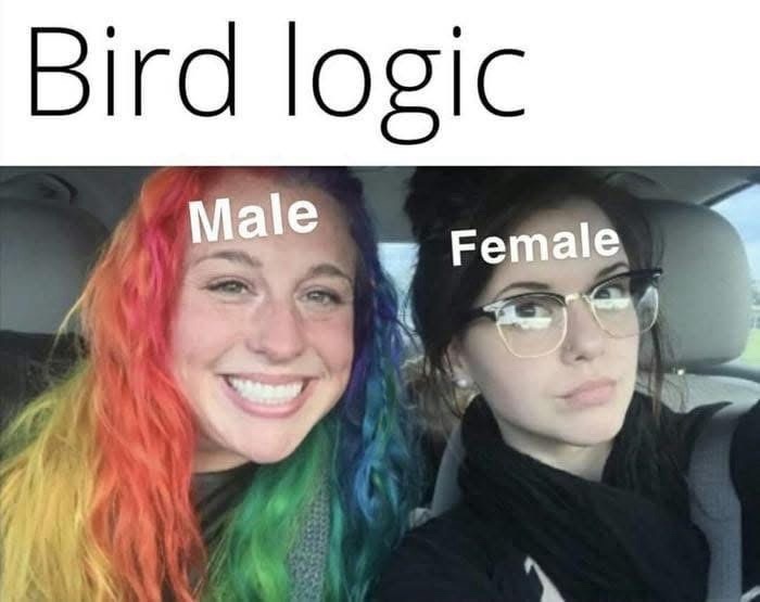 ee290de9-1f03-4636-87b4-51658de9933b