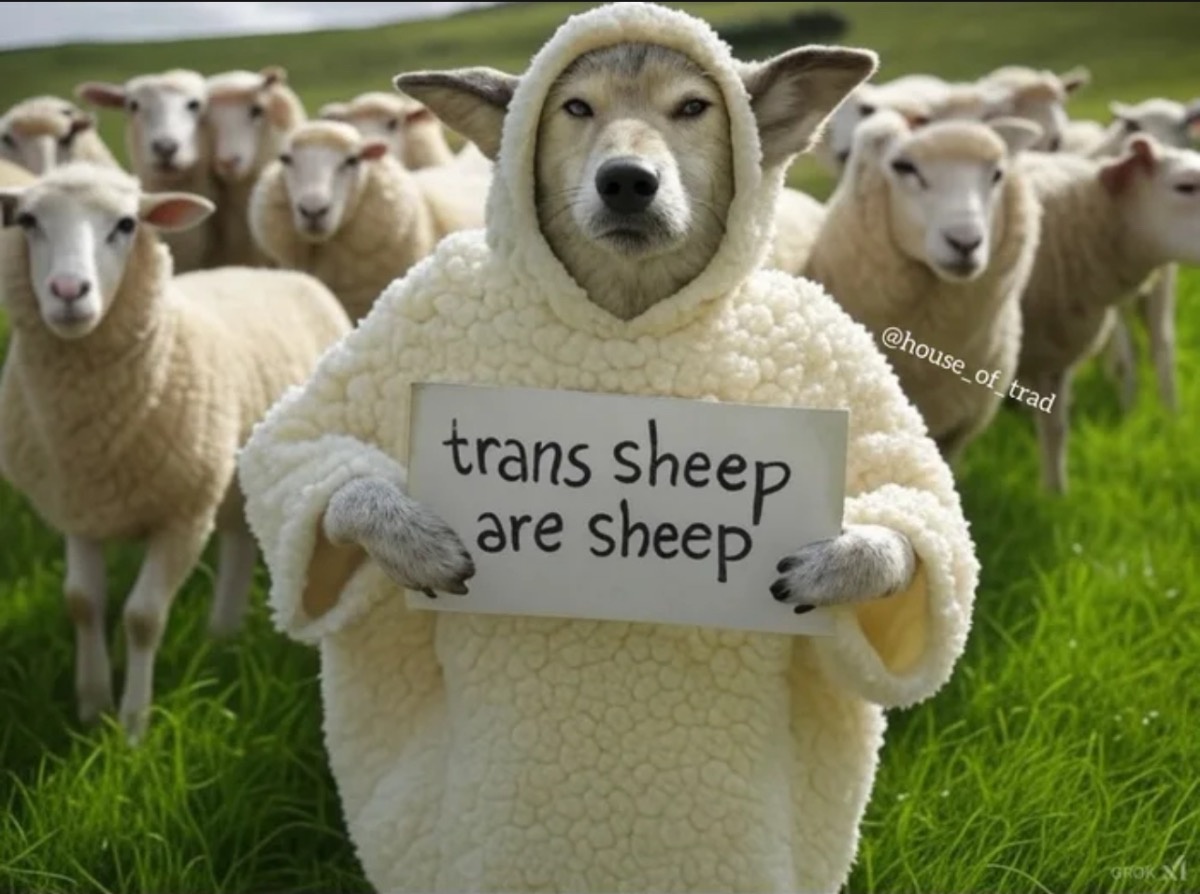 3dc7577d-07fa-4df7-91ca-26d4a6721fd0