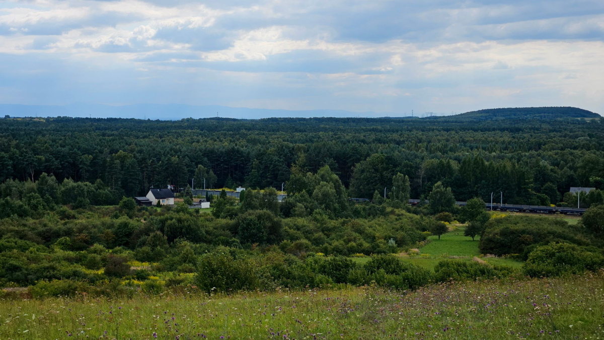 57fc1203-8f2e-447f-8b7c-14de2c9e6487