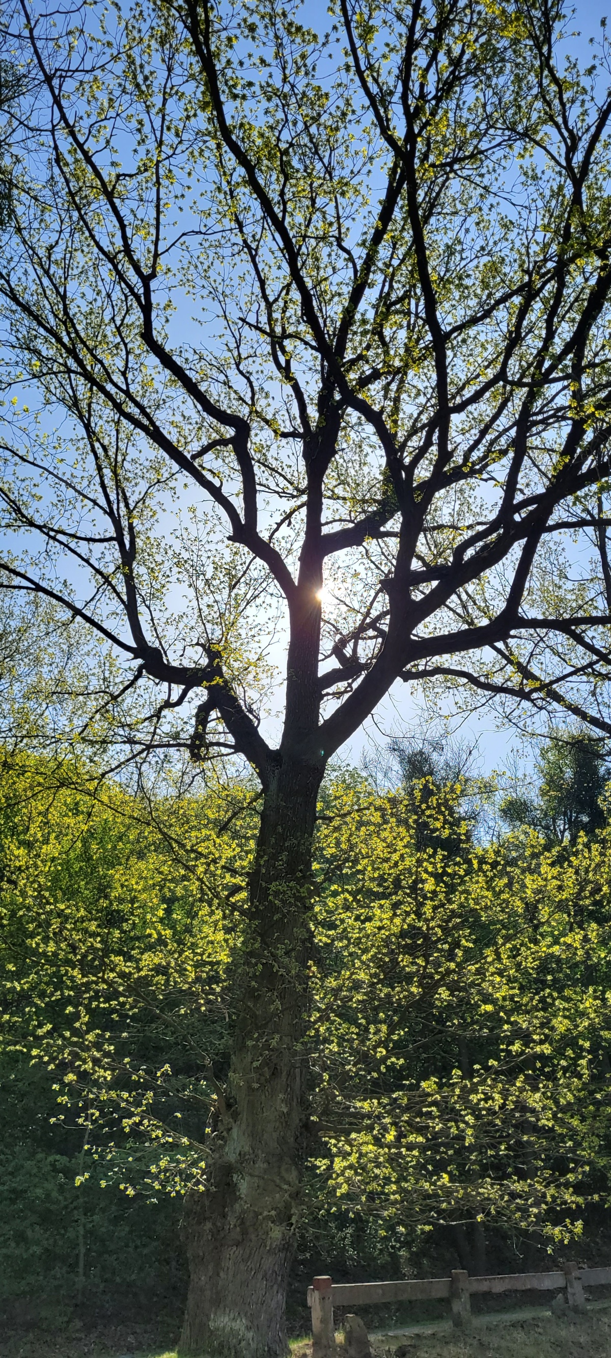 1c22c57b-1d30-44d0-a9bc-2f14eb962019