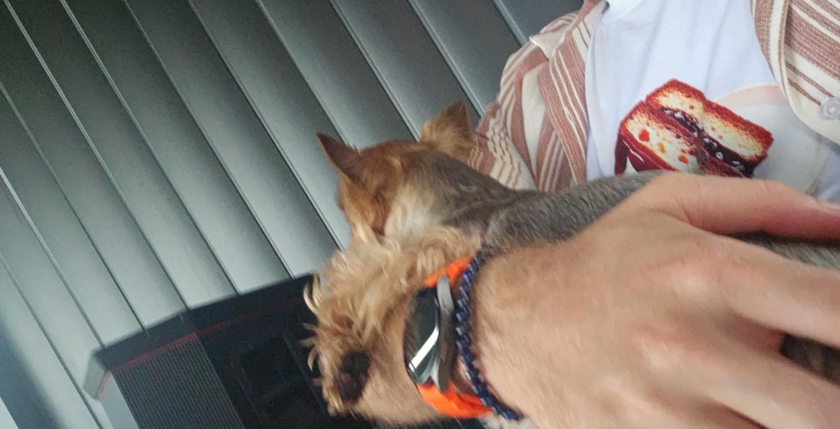 7e4ce7e8-e0ef-4d8e-bf30-93e715a01502