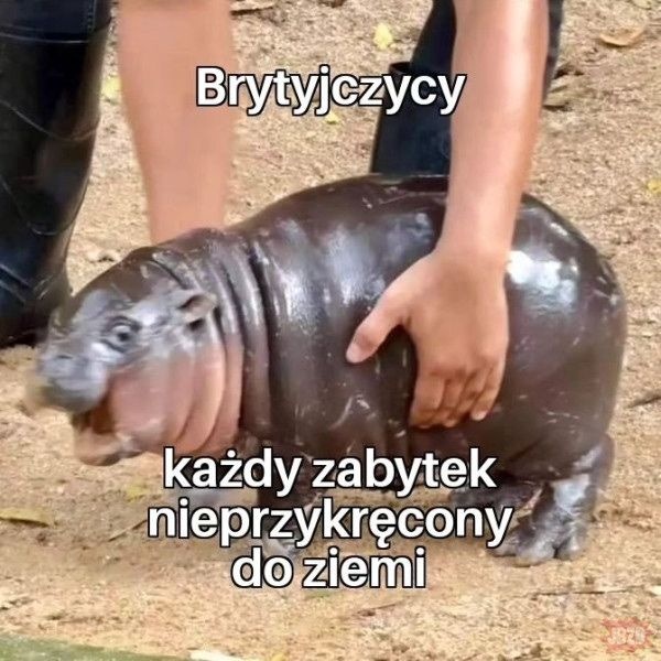 77bfbf5d-a48b-47fa-879f-dc9b09831f99