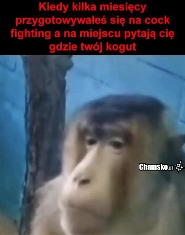 4d70559f-c49c-48d6-b0e3-f98aa20b978c