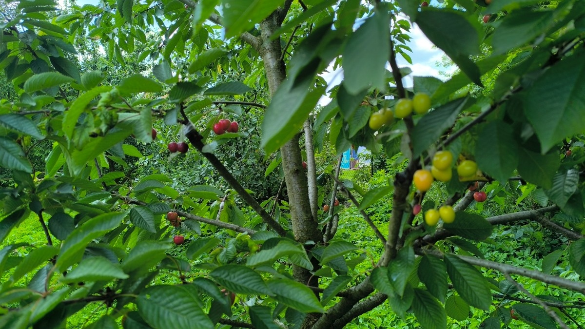 7b40c6ab-1a51-49d6-b194-8888d6bb67eb