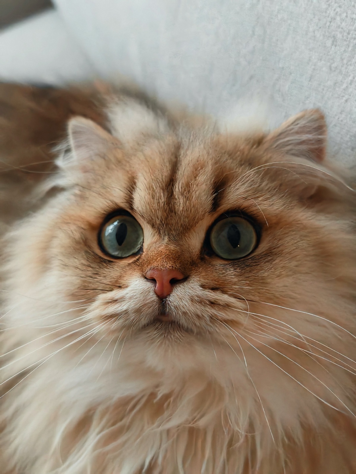 4d78a0d7-1ca5-4aef-85c1-772f1123692a